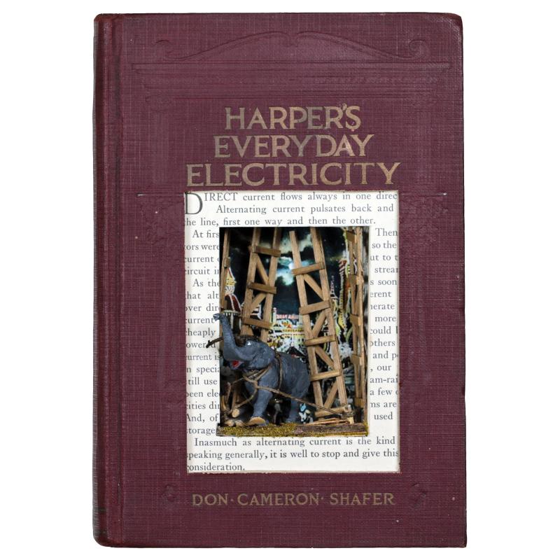 Harpers Everyday Electricity