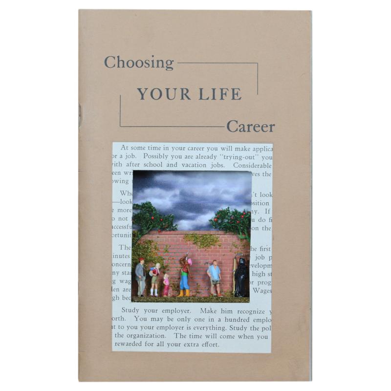 Choosing Your Life Career