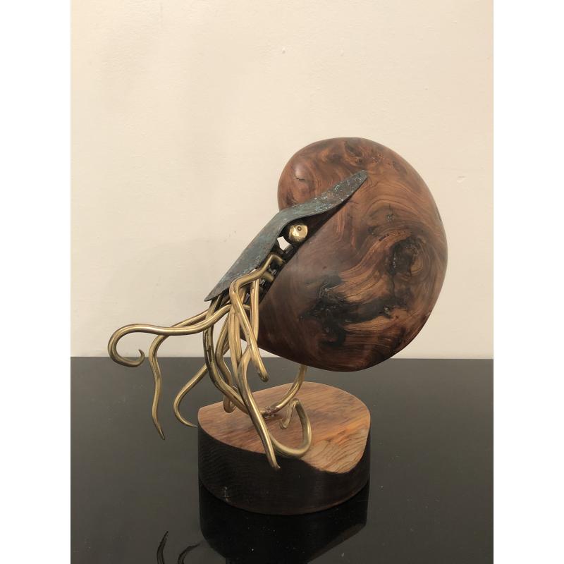 Nautilus