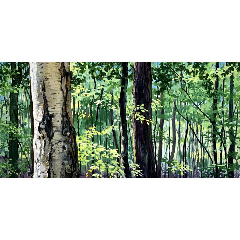 Birch, Beech & Pine