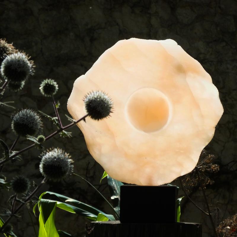 Pianeta Arancione VI