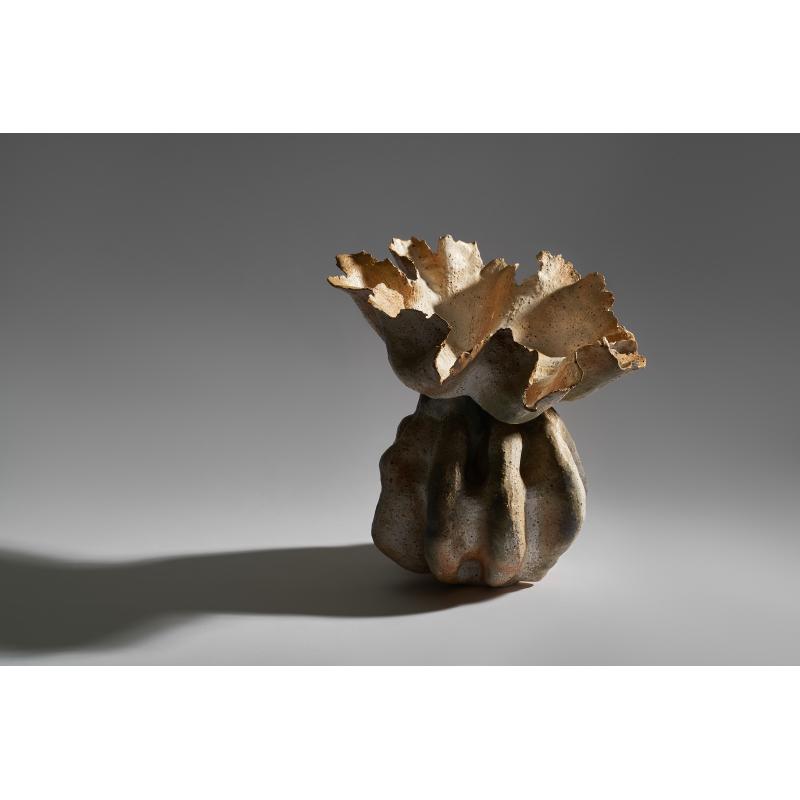 The World of Fungi #
