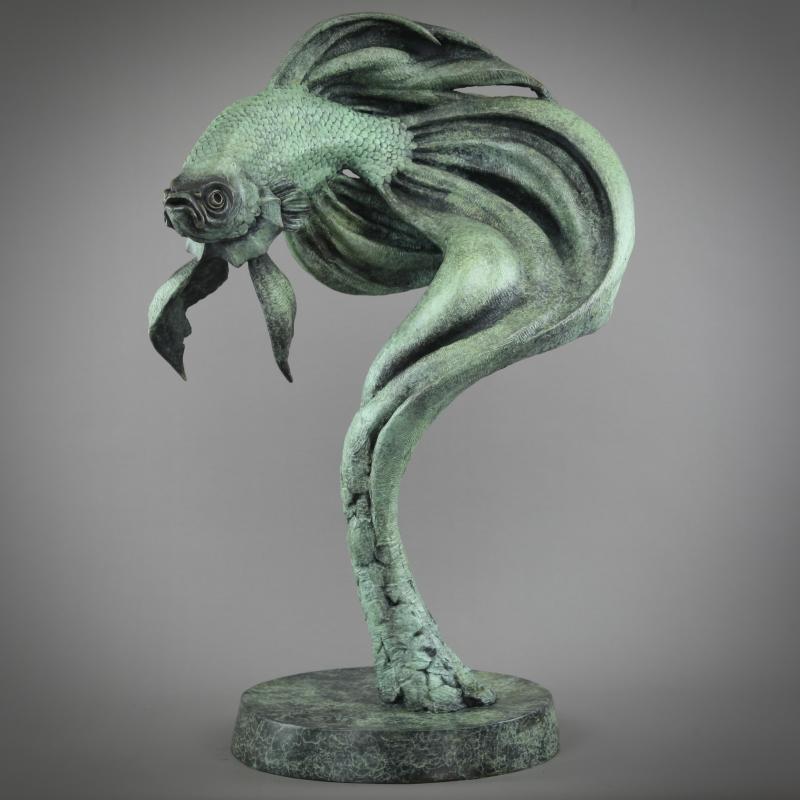 Large Siamese Fighting Fish
